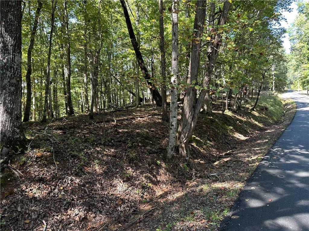 Lt2 Grandview Tr., Jasper, GA 30143