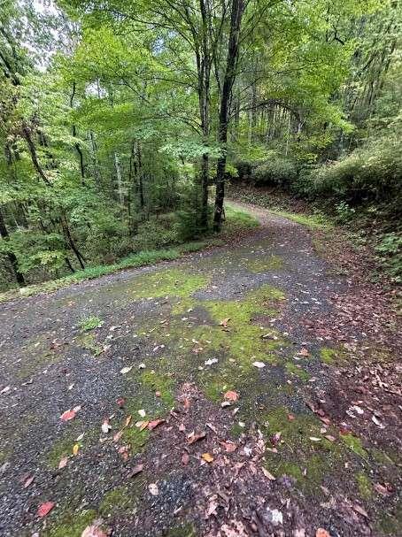 Sequoia Hills Lane, Clayton, GA 30525