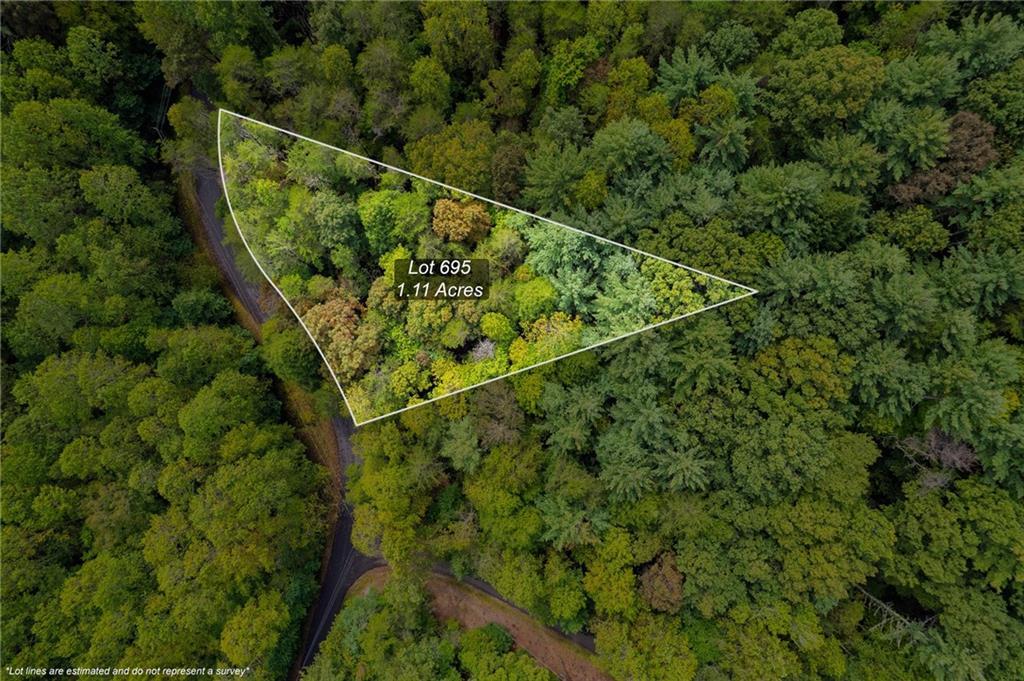 695 Satsuma Ct., Ellijay, GA 30540