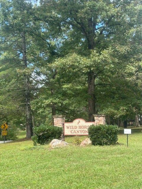Brumby Run, Blairsville, GA 30512