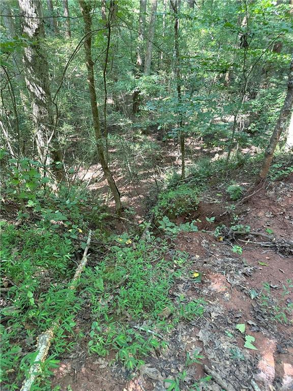 2470 Fears Rd., Good Hope, GA 30650