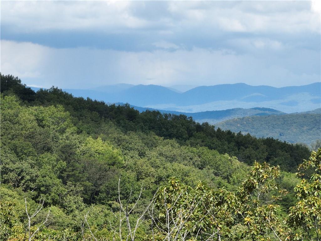 234 Stone Cliff Dr., Ellijay, GA 30536