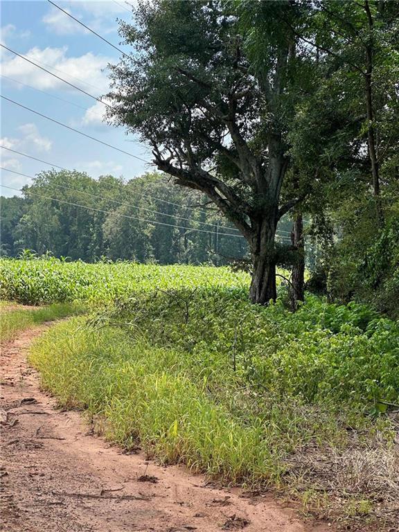 1981 A Broughton Rd., Newborn, GA 30056