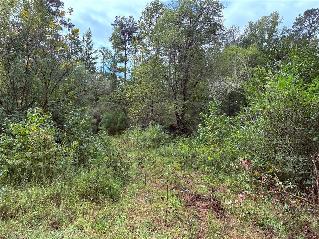 80 Sanders Creek Rd., Tallapoosa, GA 30176