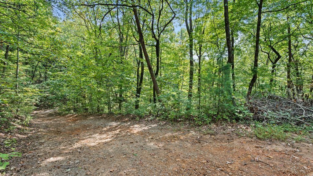 23 B Lake View Rd., Cherry Log, GA 30522
