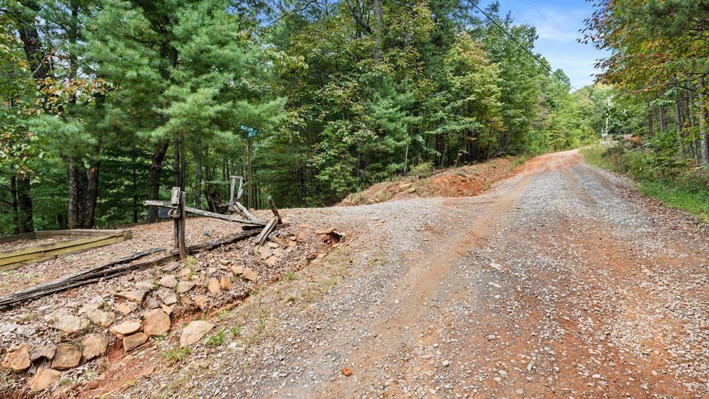 23 C Lake View Rd., Cherry Log, GA 30522