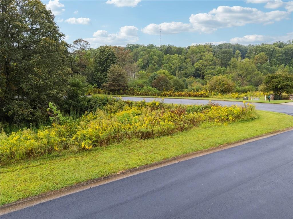 1344 Blue Grass Ct., Demorest, GA 30535