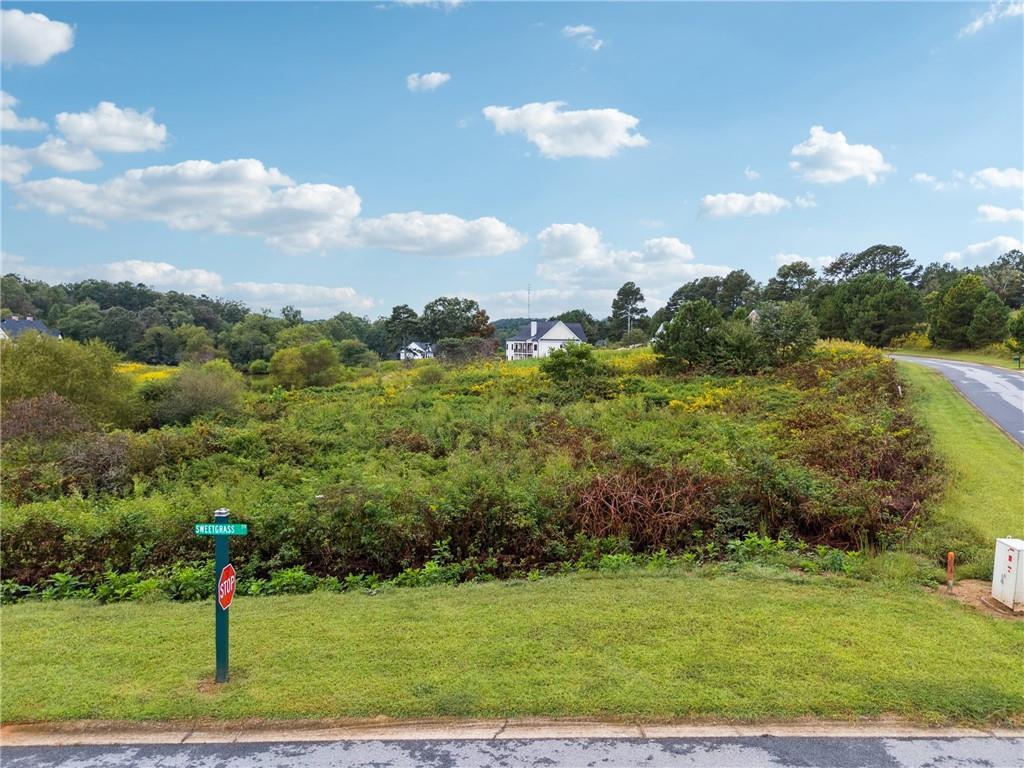 Sweetgrass Dr., Demorest, GA 30535