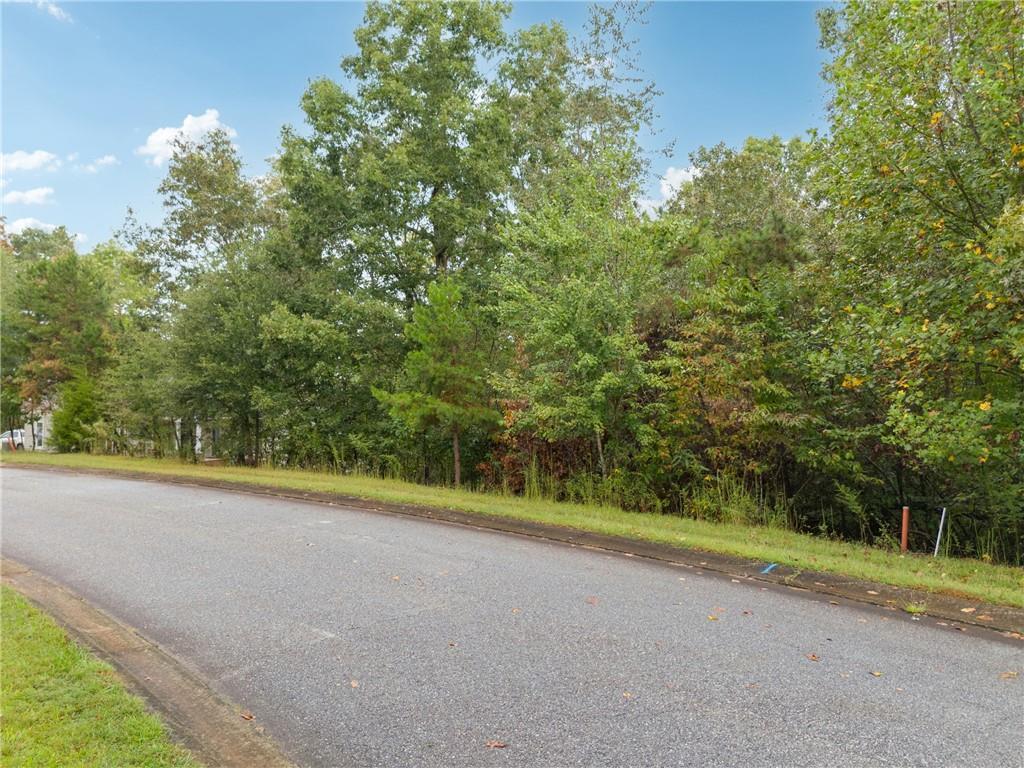St Augustine Ct., Demorest, GA 30535