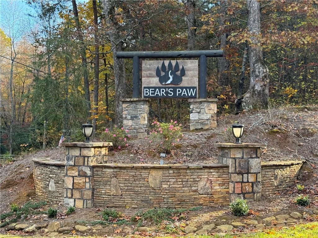 Black Bear Court Ct., Ellijay, GA 30536