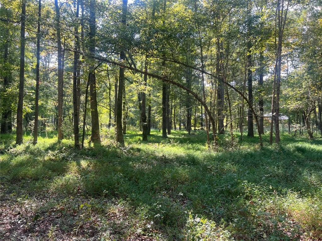 Burfordi, Marietta, GA 30008
