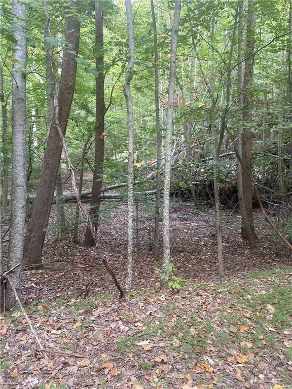 1145 Embry Ct., Ranger, GA 30734