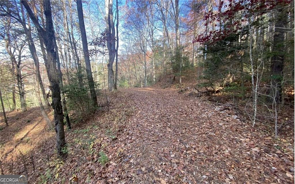 1 Barefoot Hills, Hiawassee, GA 30546