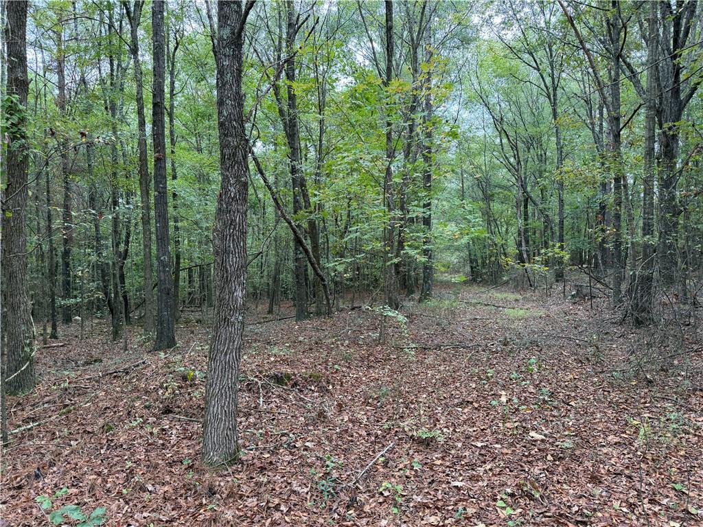 Colquitt Rd., Cedartown, GA 30125
