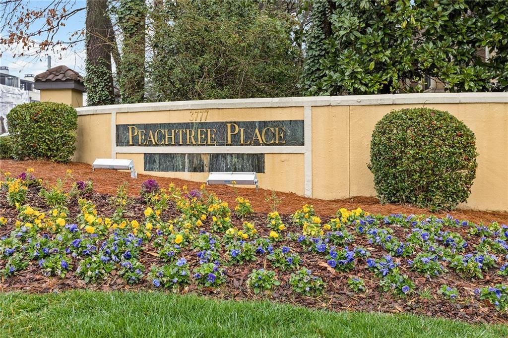 3777 Peachtree Rd. #1211, Brookhaven, GA 30319
