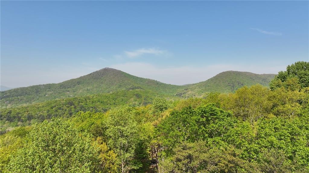 4428 Bee Tree Ridge Dr., Jasper, GA 30143