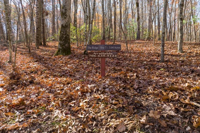 LOT 7 Joseph Anderson Tr., Ellijay, GA 30536