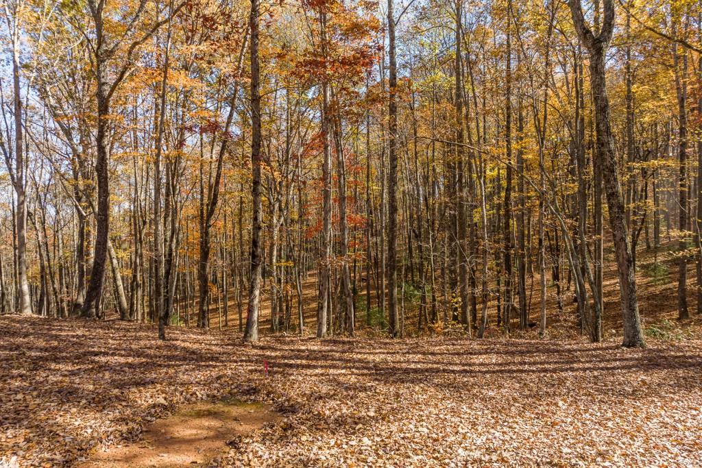 LT 17R Tanager Tr., Ellijay, GA 30536