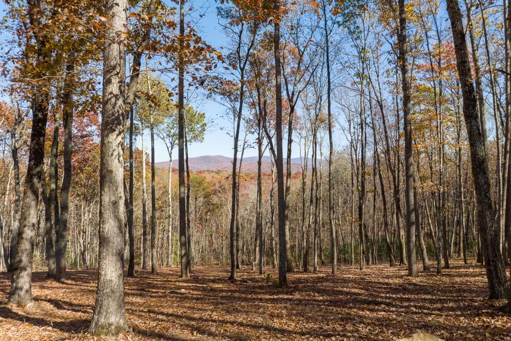 19R Settlement Tr., Ellijay, GA 30536