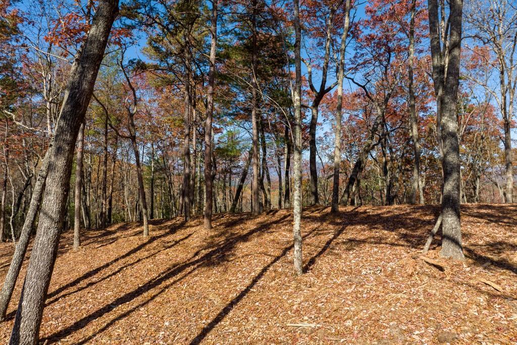 LOT 41 Preserve Tr., Ellijay, GA 30536