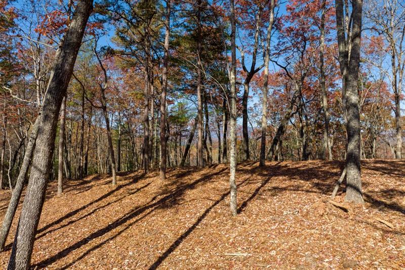 LOT 40 Preserve Tr., Ellijay, GA 30536