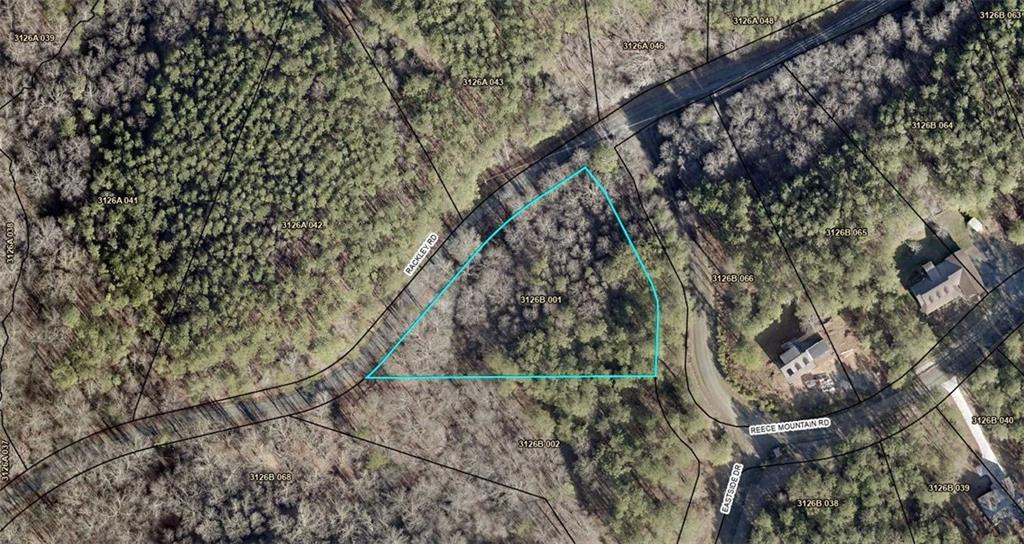 Reece Mountain Rd., Ellijay, GA 30536