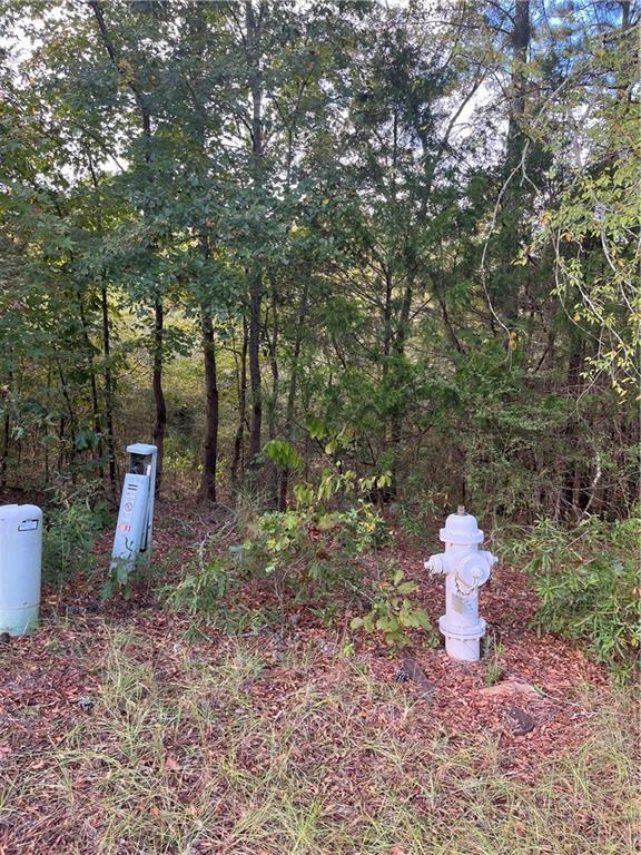 4103 Sierra Ct., Stockbridge, GA 30281