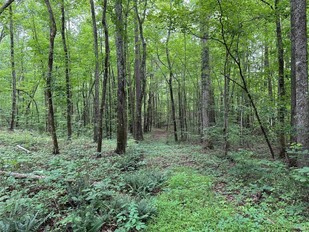 Brewsterfield Rd., Cedartown, GA 30125