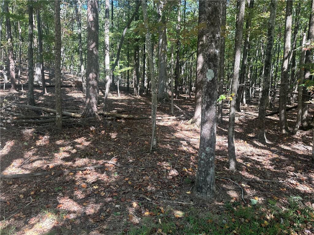 Lt1352 Willow Ter., Jasper, GA 30143