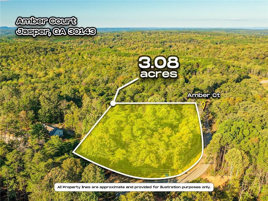 Amber Ct., Jasper, GA 30143