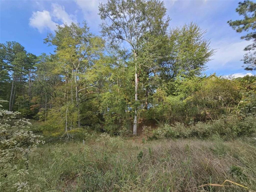 1272 N Edgewater Tr., Toccoa, GA 30577