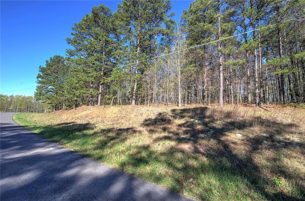 Mckibben Rd., Buchanan, GA 30113