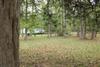 New Homes For Sale This Week That Attend Comer Elementary School: October 10th to October 16th