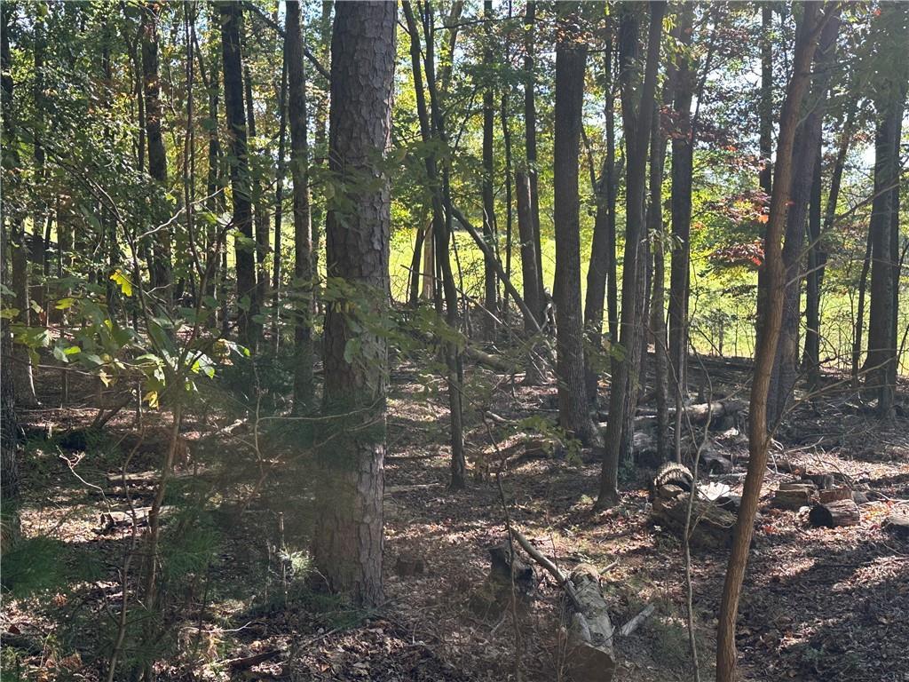 Lt1351 Willow Ter., Jasper, GA 30143