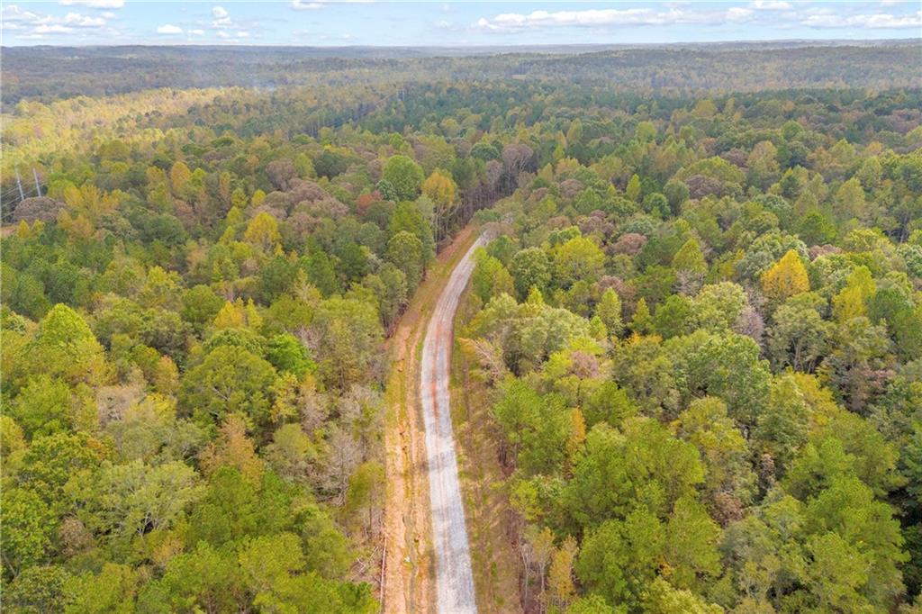 Berch Tree Tr., Jefferson, GA 30549