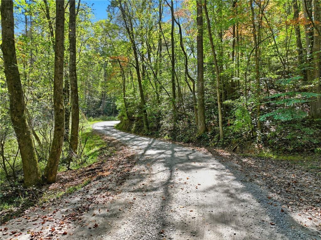 Tanglewood Lane, Ellijay, GA 30540