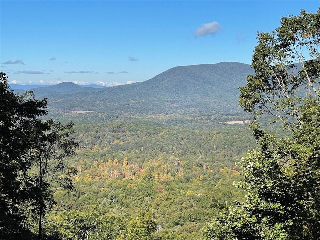 Tickanetley Rd., Ellijay, GA 30536