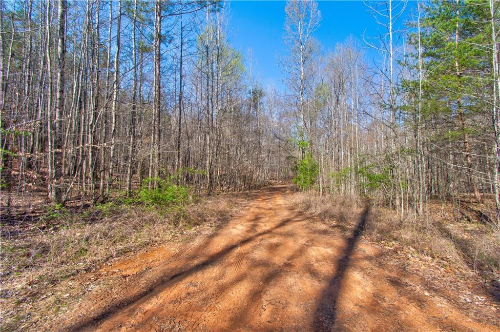 600 Chapman Ridge Ln., Dahlonega, GA 30533