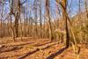 New Homes For Sale This Week in Dahlonega: October 10th to October 16th