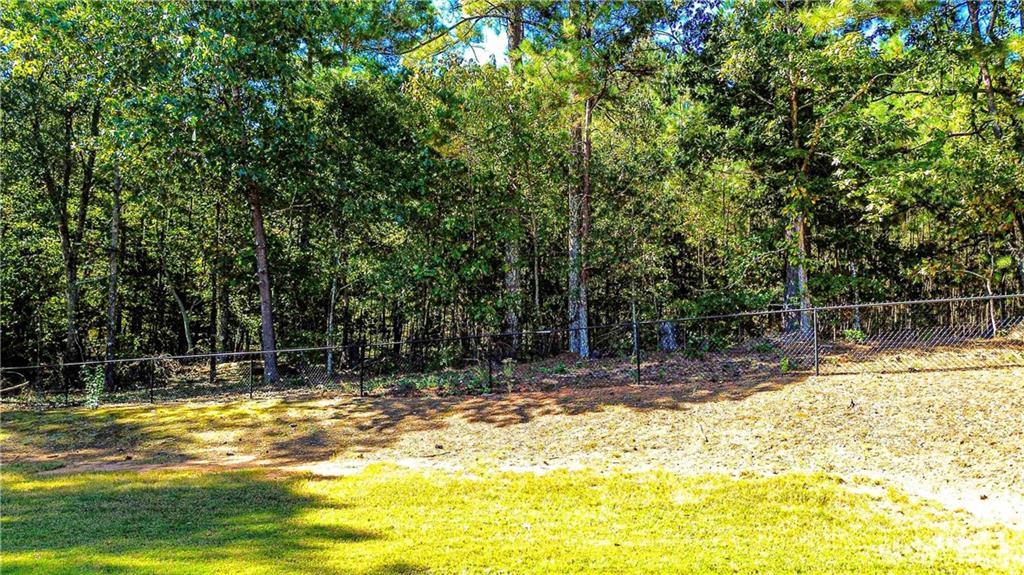 521 Deadwood Trl #2102, Locust Grove, GA 30248