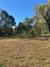 New Homes For Sale This Week That Attend Lula Elementary School: October 10th to October 16th