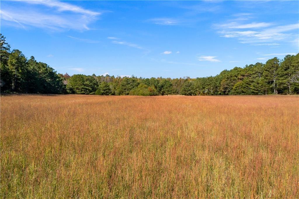 Satcher Rd., Taylorsville, GA 30178