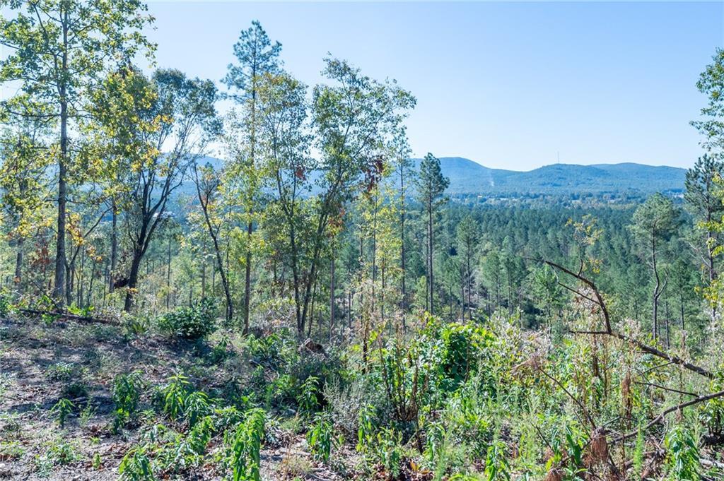 3879 Hwy 140, Rydal, GA 30171