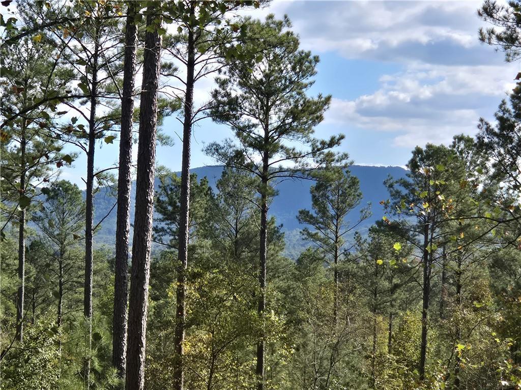 3871 Hwy 140, Rydal, GA 30171