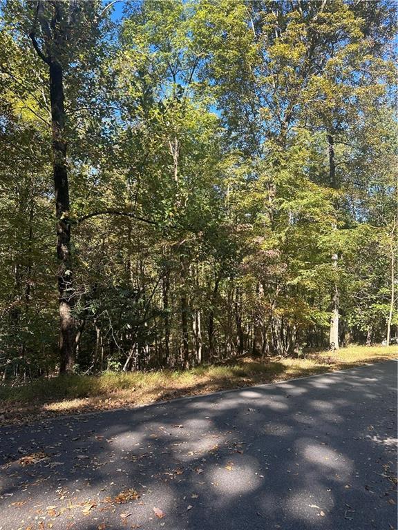 Blackgum Dr., Jasper, GA 30143