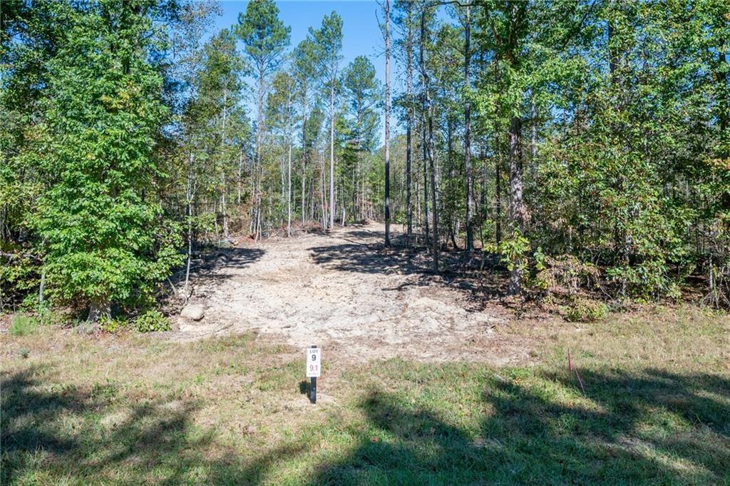 3863 Hwy 140, Rydal, GA 30171