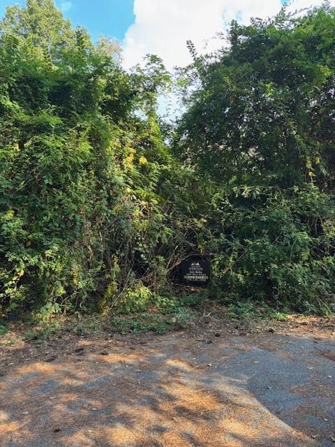 Niskey Lake Rd., Atlanta, GA 30331