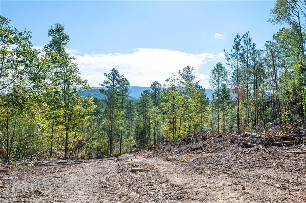 3793 Hwy 140, Rydal, GA 30171