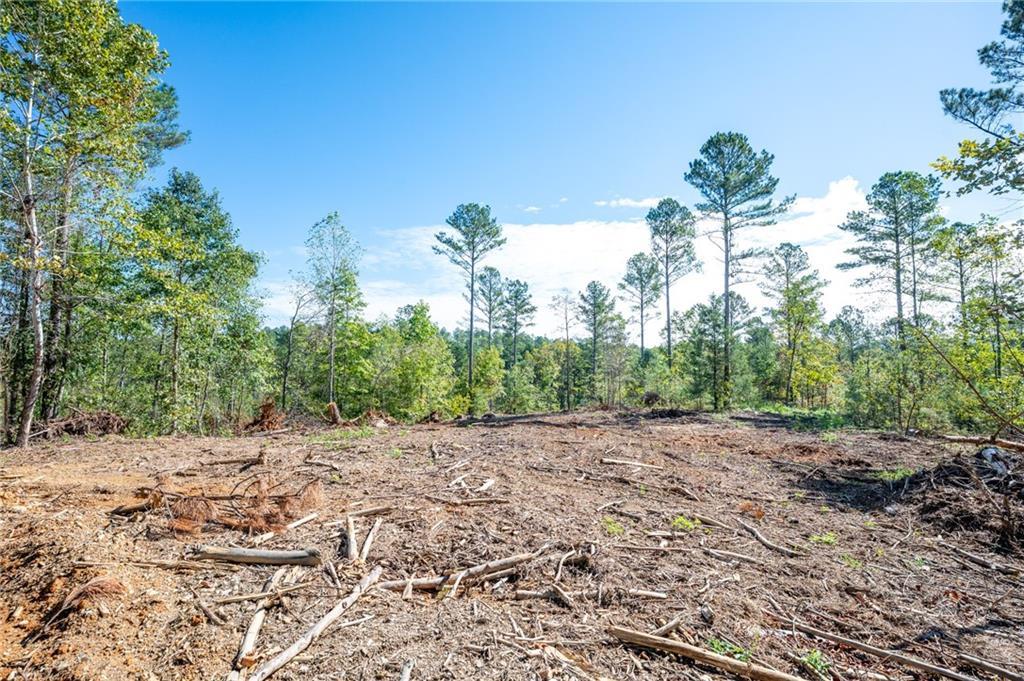 3801 Hwy 140, Rydal, GA 30171