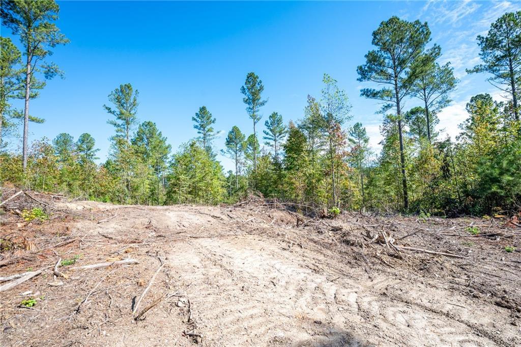 3805 Hwy 140, Rydal, GA 30171